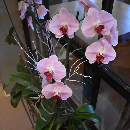 Szálloda Sabocos Panticosa