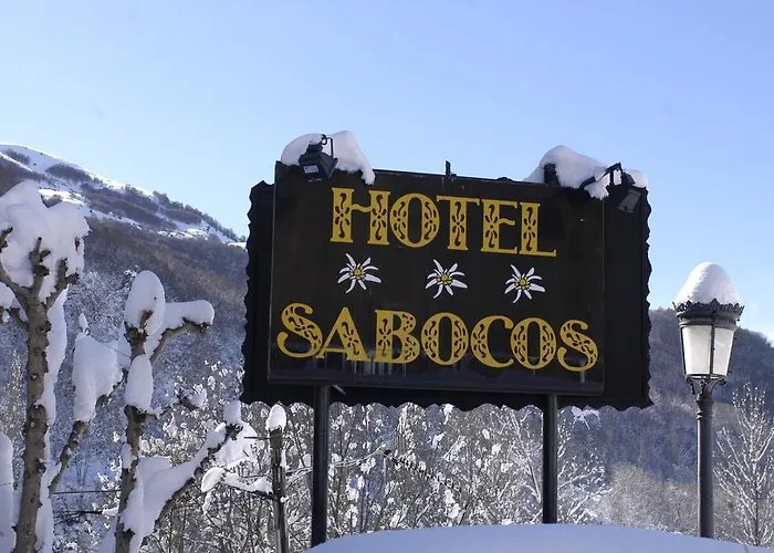 Sabocos 호텔