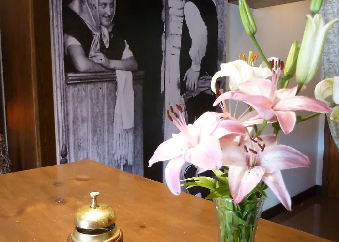 Sabocos 팬틱코사