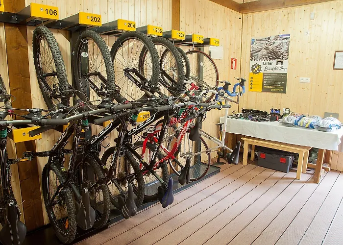 Sabocos 팬틱코사