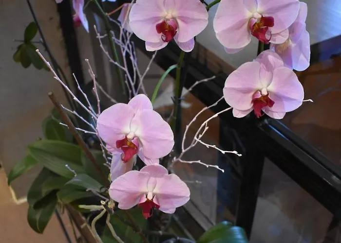 호텔 Sabocos 팬틱코사